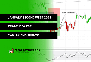 January Second Week 2021 - Trade Idea for CADJPY And EURNZD